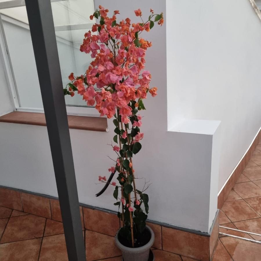 Santiago Del Teide Room Eksteriør billede
